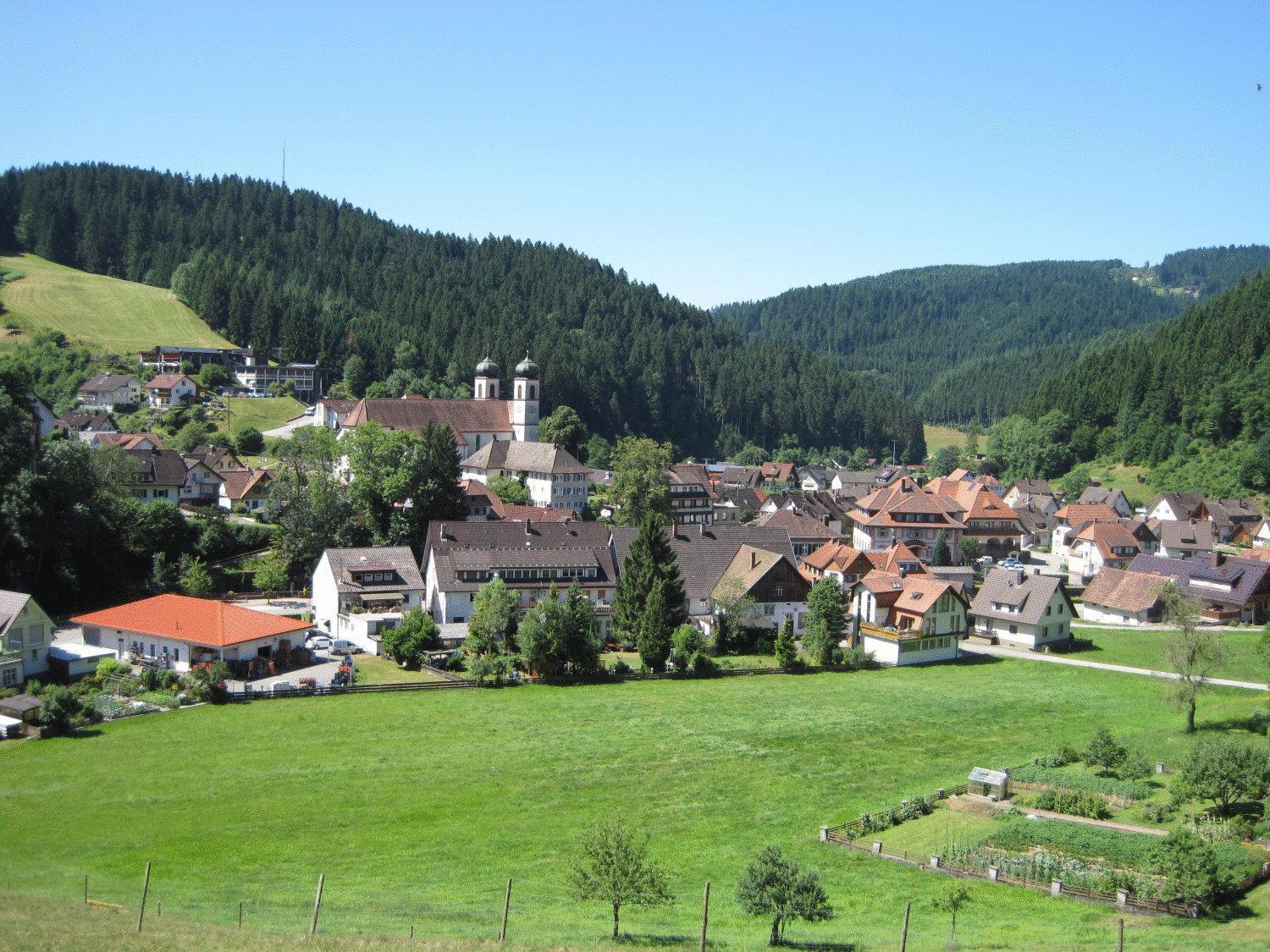Hotel Restaurant Albans Sonne Bad Rippoldsau-Schapbach Zewnętrze zdjęcie