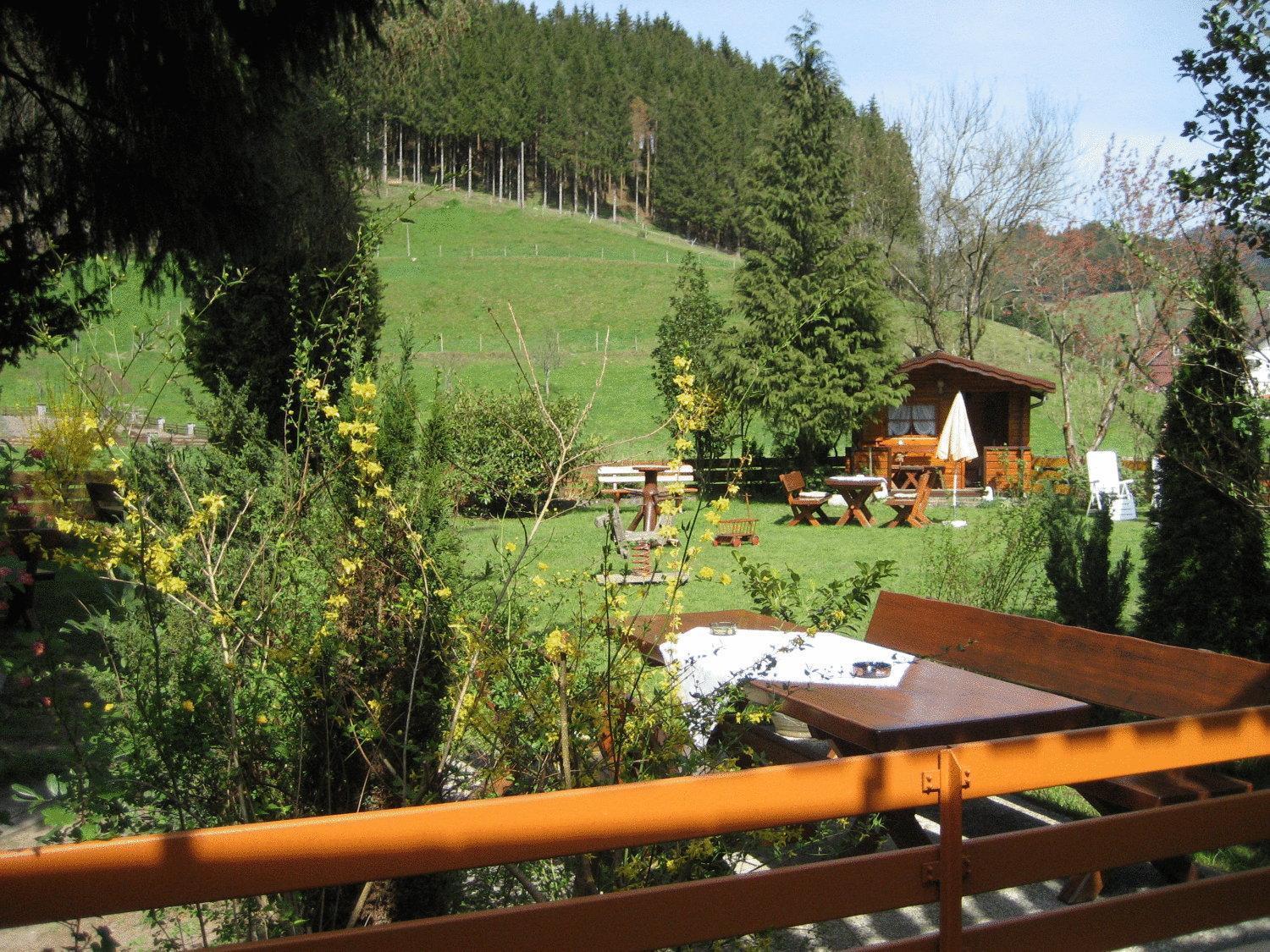 Hotel Restaurant Albans Sonne Bad Rippoldsau-Schapbach Zewnętrze zdjęcie